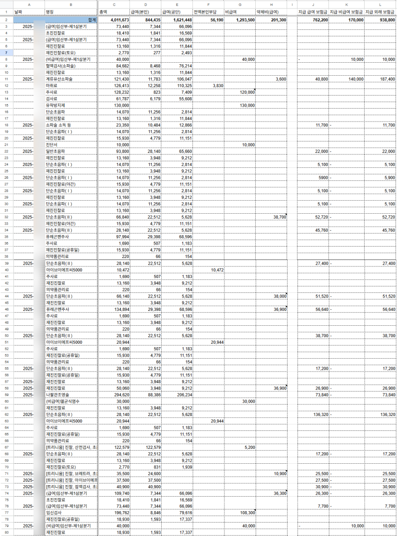 [임신일기 7] 공무원 단체보험 현대해상 청구 후기(필요서류, 상세내역, 비급여 제외 담보)