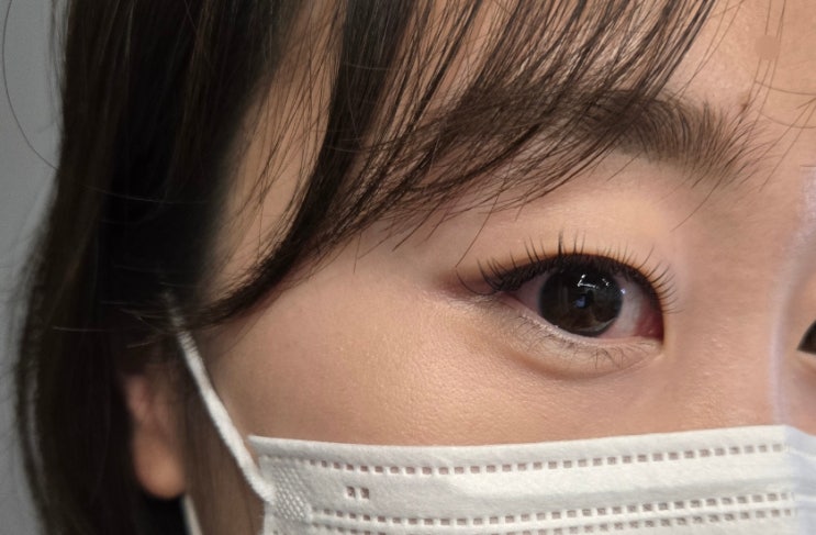  다산속눈썹 드브아브로우 : 이물감없는 속눈썹 맛집 (led연장 장점 단점)