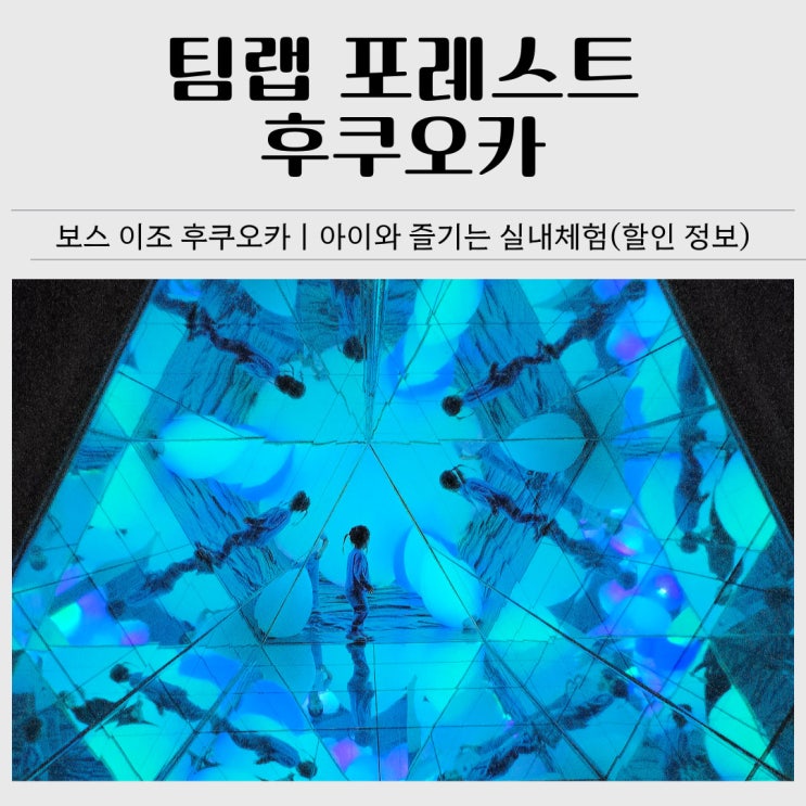  팀랩 포레스트 후쿠오카｜아이와 즐기는 실내체험 후기(입장권 할인·주의사항)