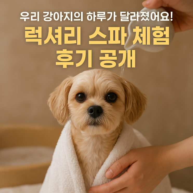  강아지 전용 스파 체험 후기 럭셔리한 힐링, 반려견이 반한 하루