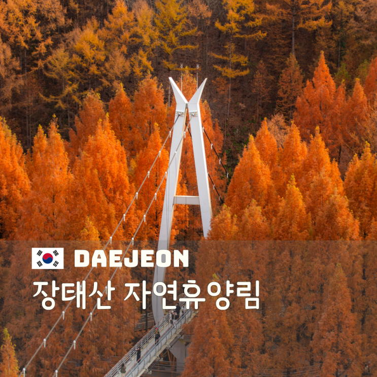  장태산 자연휴양림 전망대 산책코스 대전 가을 단풍 여행