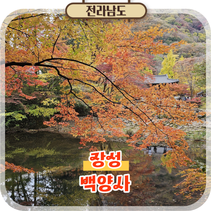  장성 백양사 단풍 절정 구경 실시간 전남 여행지 추천