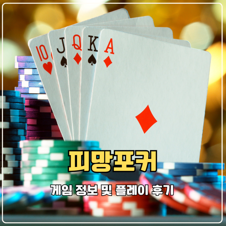  피망포커 하이로우 하는법 입문자 필승 공략