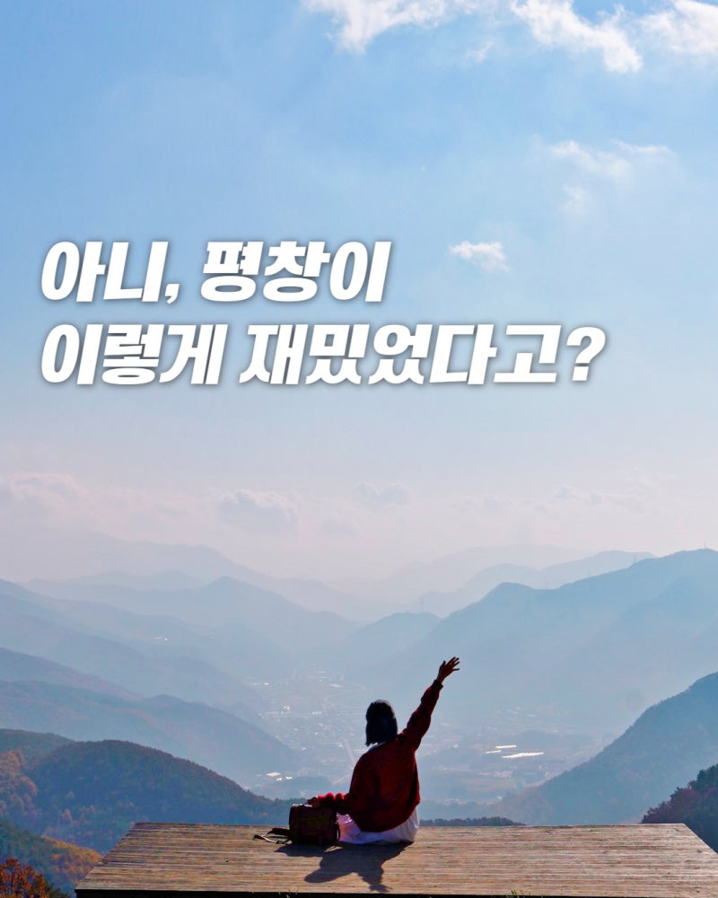 사진 8