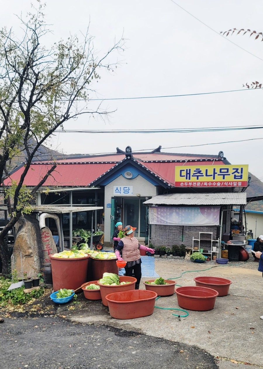 대추나무집 사진 4