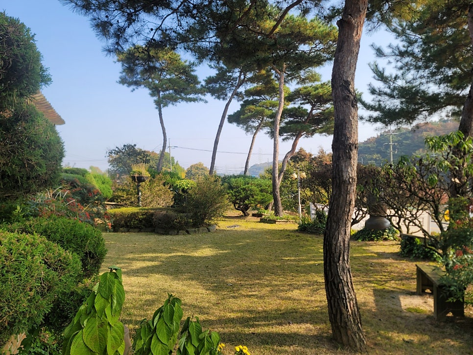 산울림 사진 6