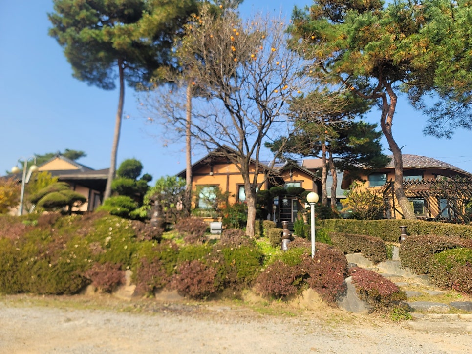 산울림 사진 2
