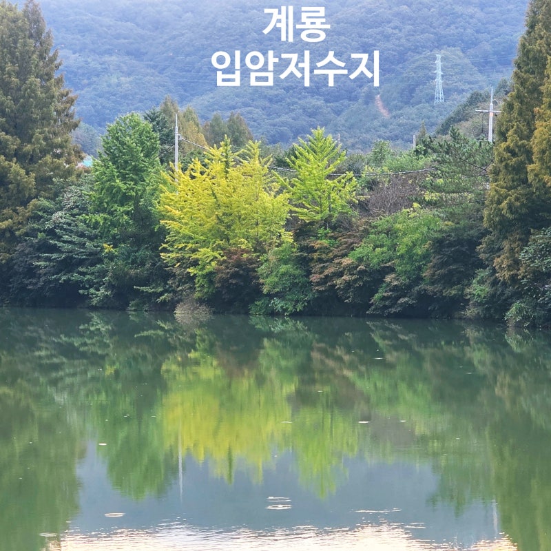 사진 7