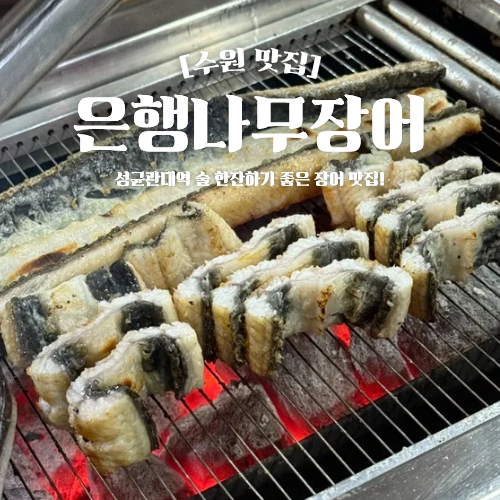  수원 성균관대역 근처 맛집 은행나무장어 율전동