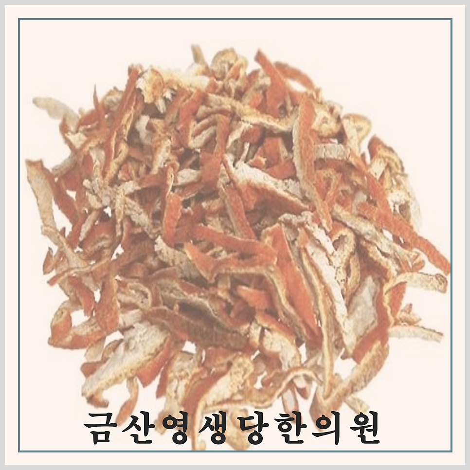 금산영생당한의원 사진 2