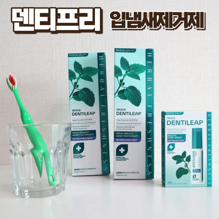  입냄새 제거 휴대용 덴티리프 구강 스프레이 구취제거 치약