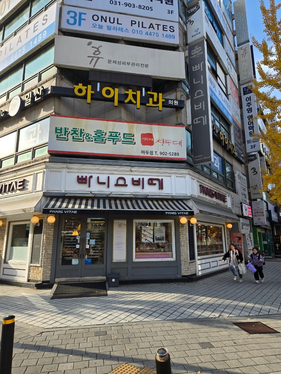 빠니스비떼 사진 1