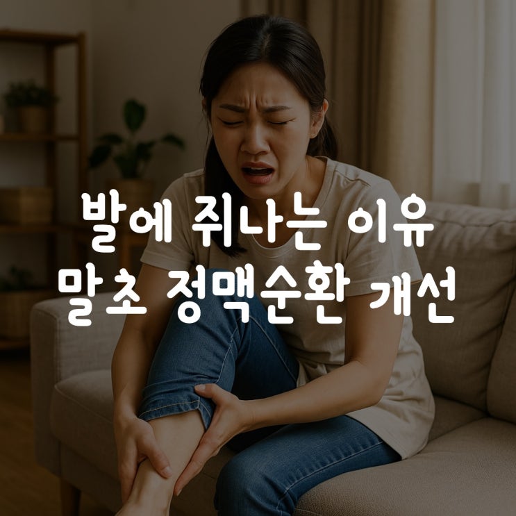 발에 쥐나는 이유 말초 정맥순환개선제 키토나제12효소