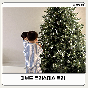 [아보드 트리] 공간 차지 없이 고급스러운 반쪽 하프트리로 크리스마스 준비 완료