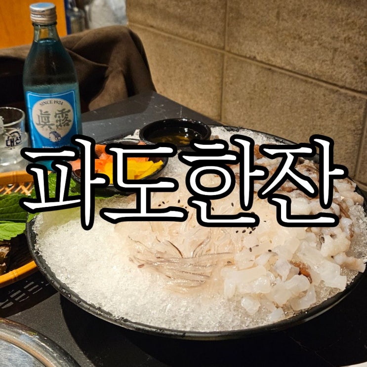  창원성산구 상남동 술집 산오징어회 맛집 '파도한잔'
