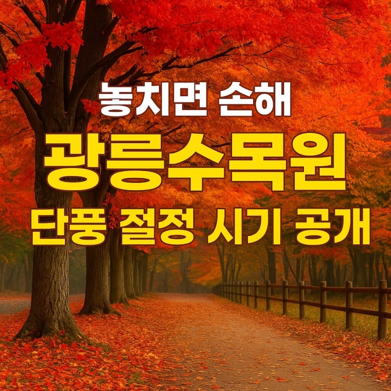 놓치면 손해 광릉수목원 단풍 절정 시기 공개