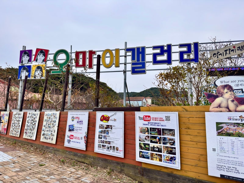 사진 5