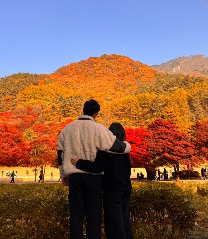 경북 단풍명소 문경새재 도립공원 단풍시기 2025 사진스팟 공유