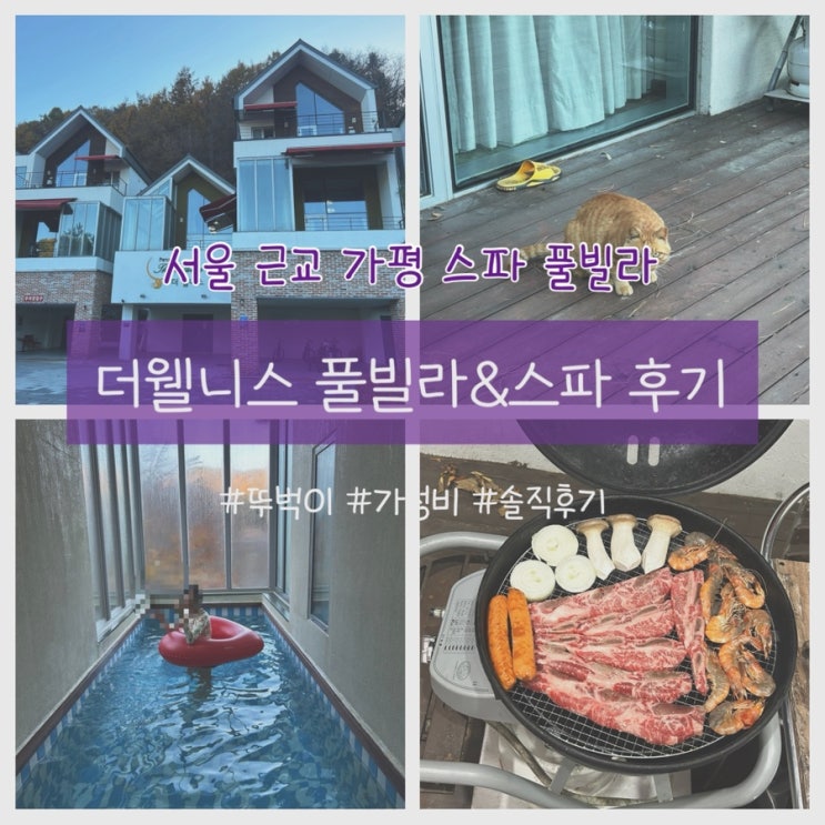  서울근교 가평 독채 풀빌라 스파 펜션 더웰니스풀빌라&스파 솔직후기