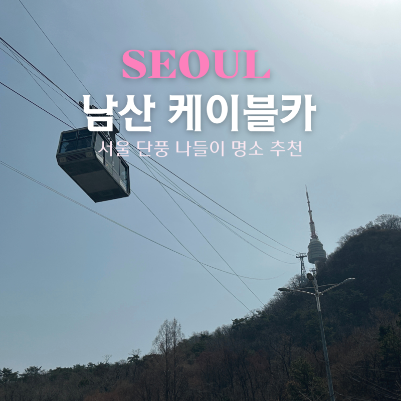 남산케이블카 주말 예매 가격 티켓 할인 주차장 가는법까지 총정리
