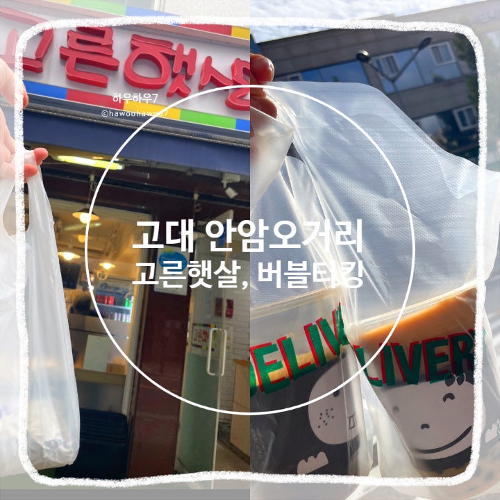  안암역 고대 고대병원 맛집 | 고른햇살 가성비 김밥, 버블티킹 내돈내산