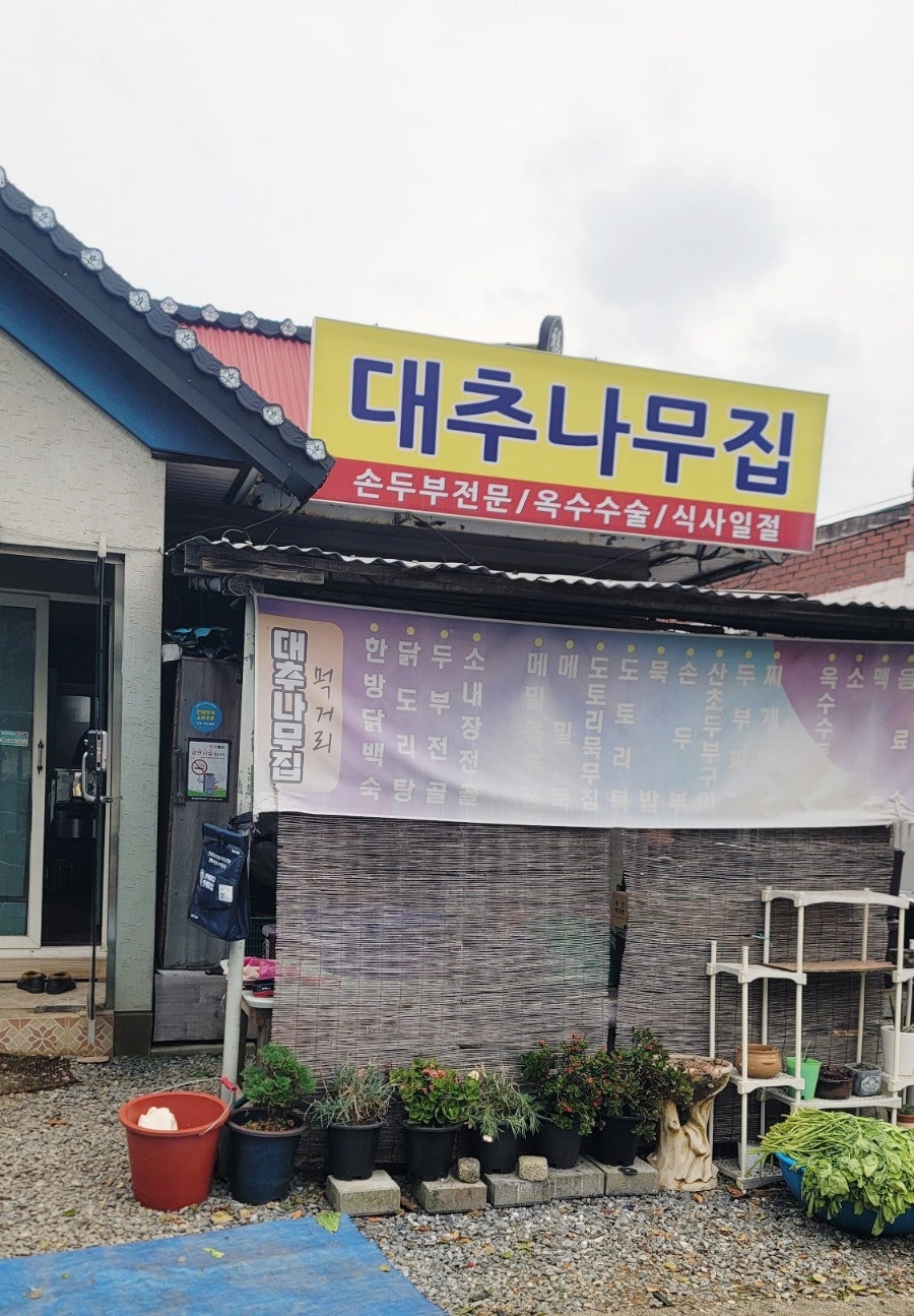 대추나무집 사진 2