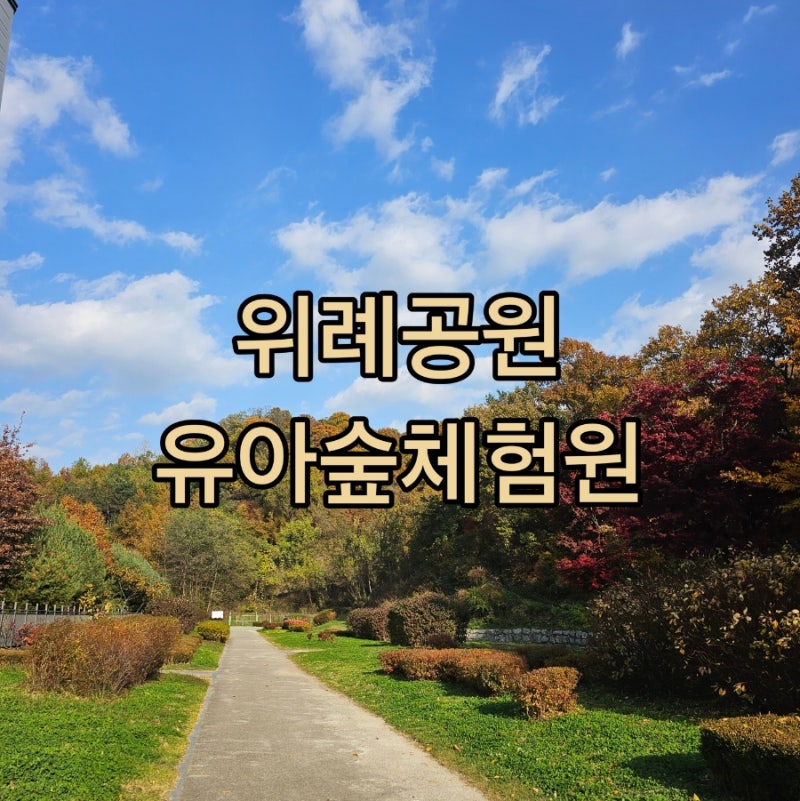 서울 근교 아이랑 가볼만한곳 야외 가을 나들이 위례공원 유아숲체험원