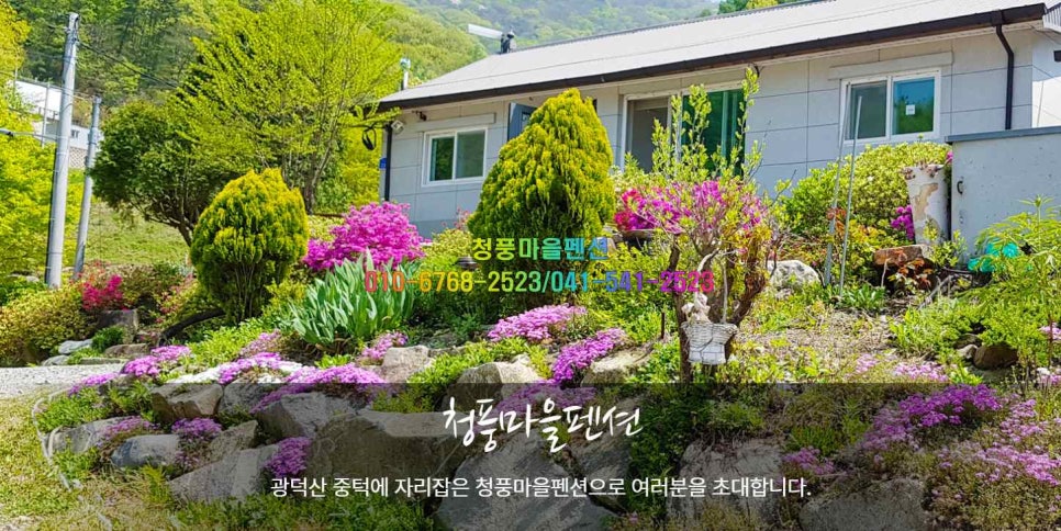 청풍마을펜션 사진 4
