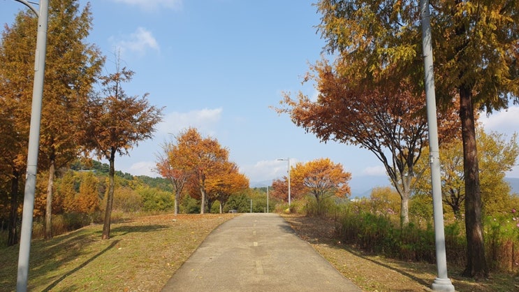  노트필기 잘하는 방법 (공부 효율을 높이는 실전 노하우)