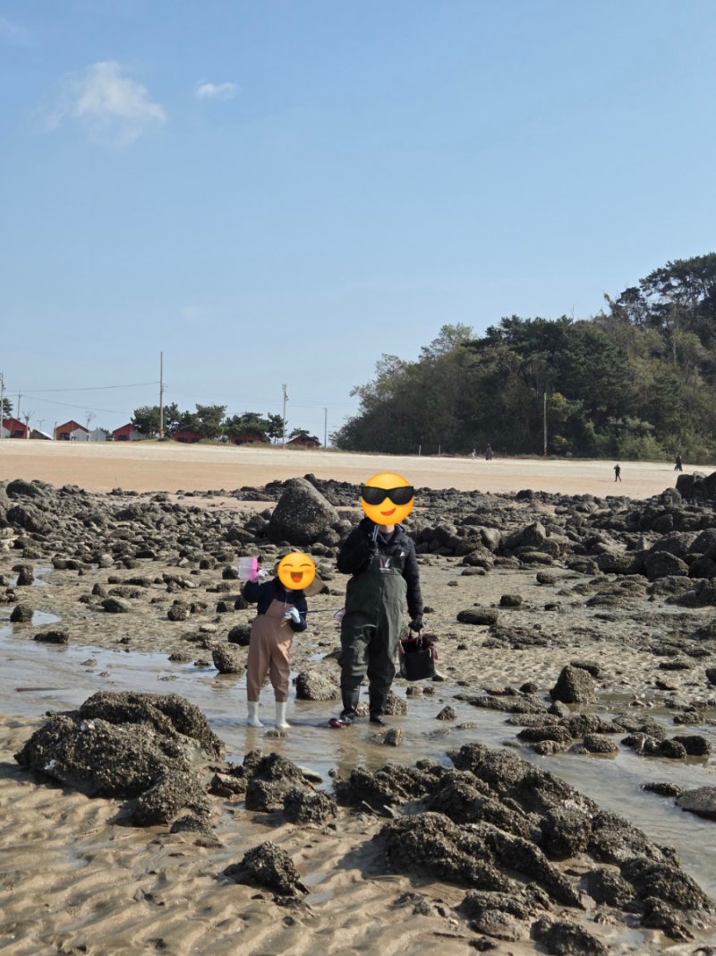[영종도 선녀바위 해수욕장 해루질] 아들과 함께한 갯벌 체험, 가족 추억 한가득 (11월)