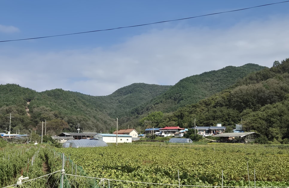 여우내 사진 6