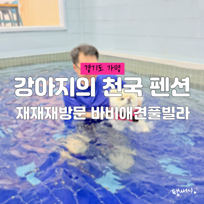 사진 2