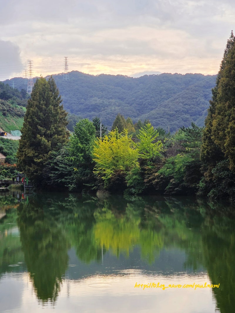 사진 8