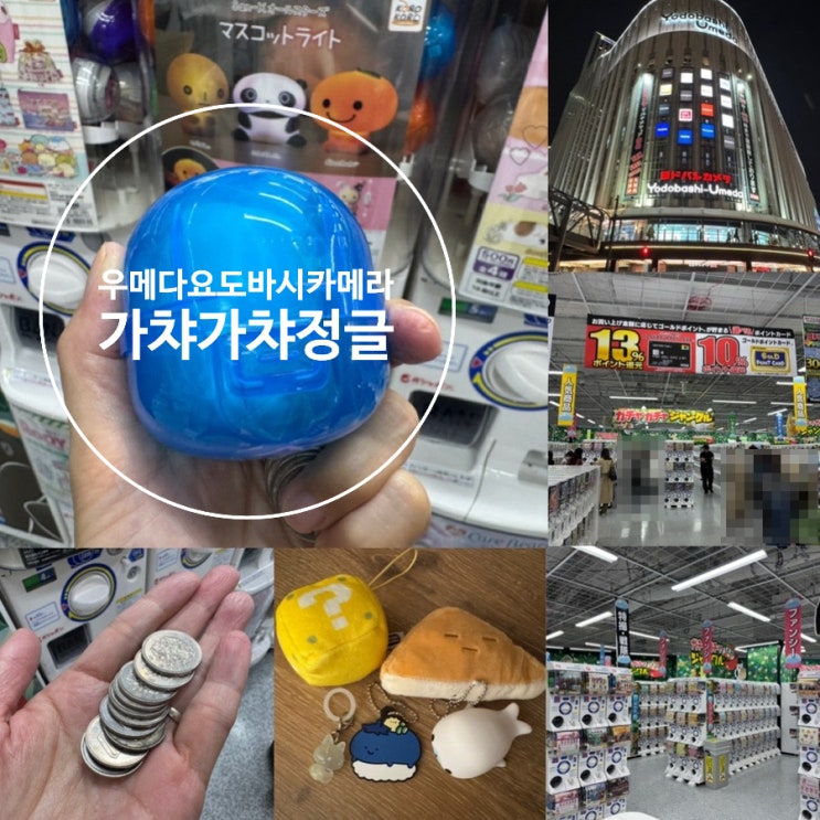  우메다 가볼만한 곳 우메다 대규모 가챠샵 요도바시 카메라 5층 가챠가챠정글 가챠만해도 2000대