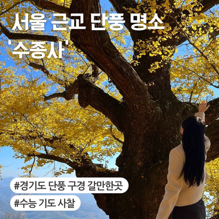서울 근교 단풍 명소 경기도 단풍 구경 수종사 (ft.수능 기도 절 사찰)