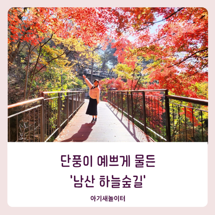  서울 새로운 단풍 명소 남산 하늘숲길 무장애 산책로에서 가을을 만끽해요