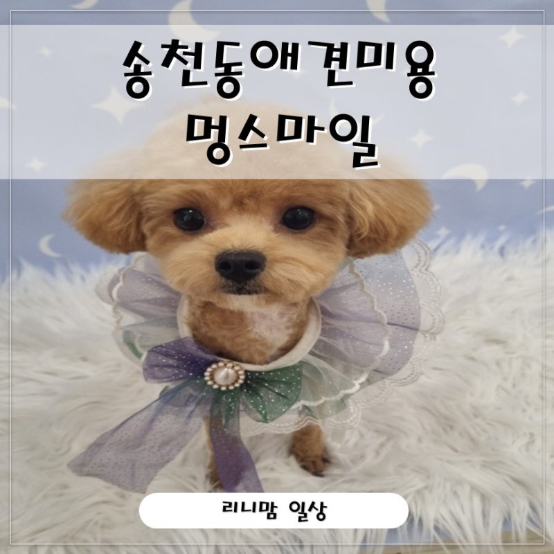사진 7