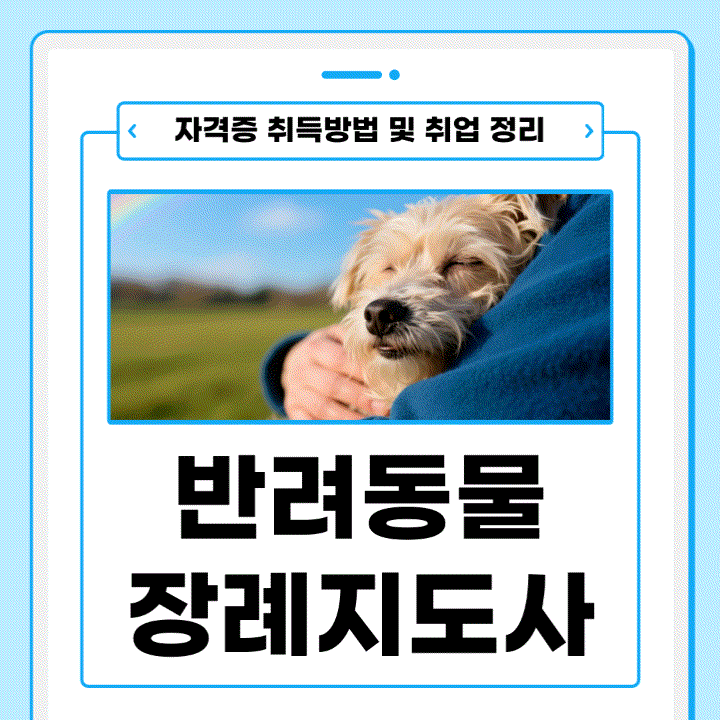  반려동물장례지도사 자격증 취득방법 및 취업 정리