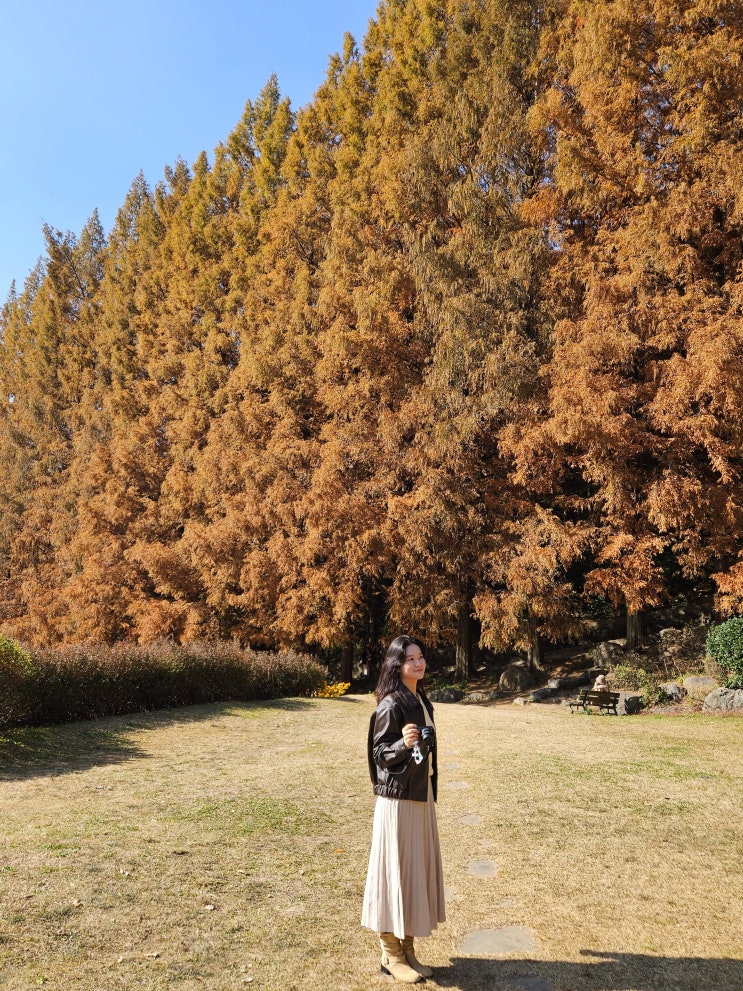  경기도 용인 단풍구경 명소 (한국외대 글로벌캠 명수당)
