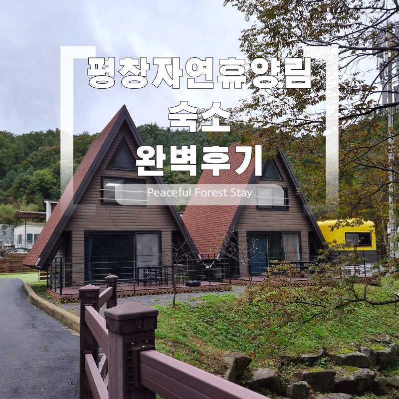 평창자연휴양림 숙소 이용 후기 : 가격 부터 시설까지 한 번에 정
