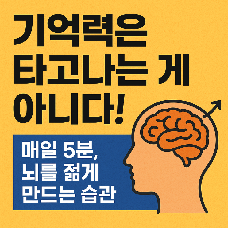   기억력을 폭발시키는 습관 TOP5 – 뇌가 젊어지는 일상 루틴