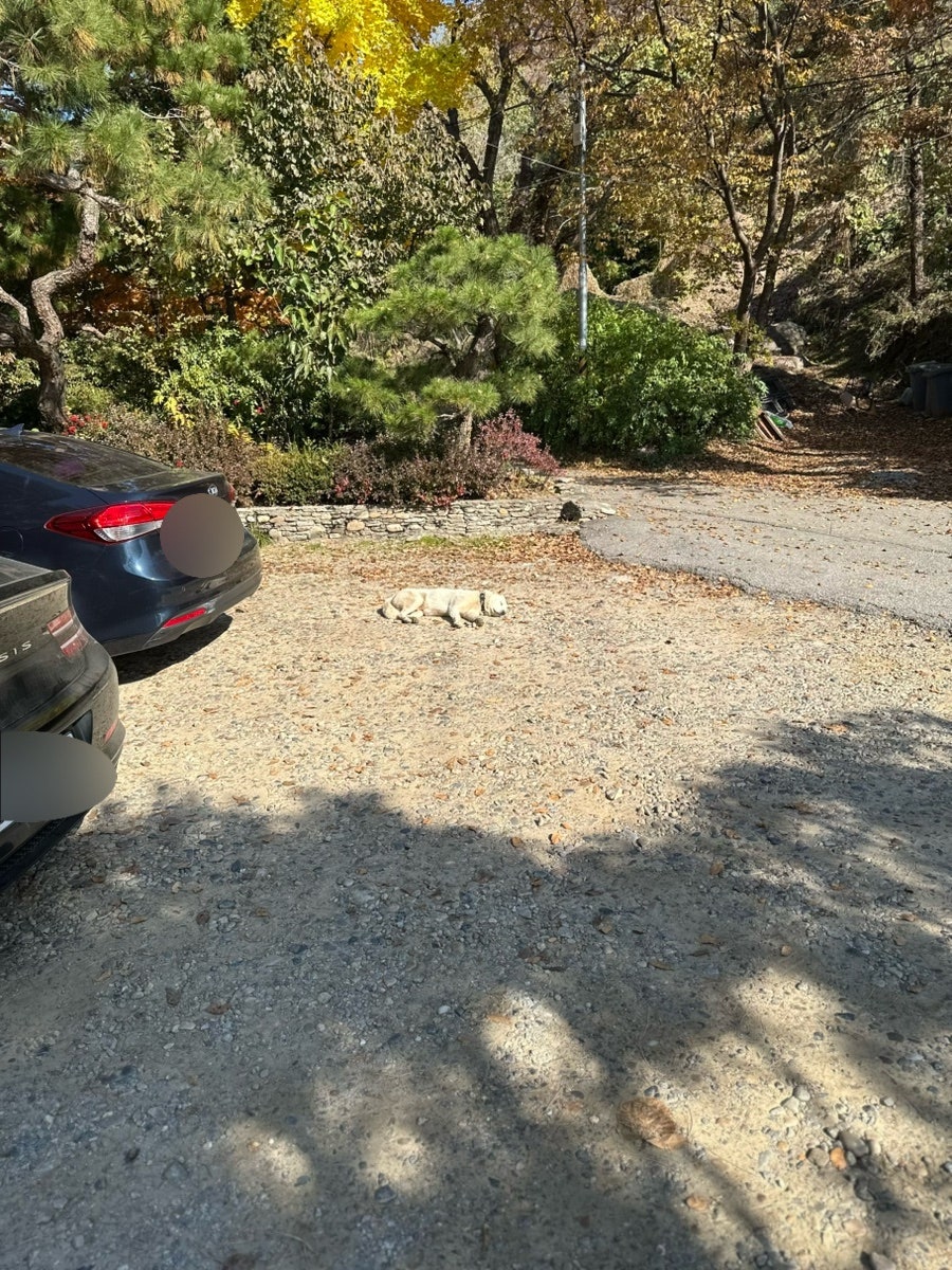산밑에집 사진 5