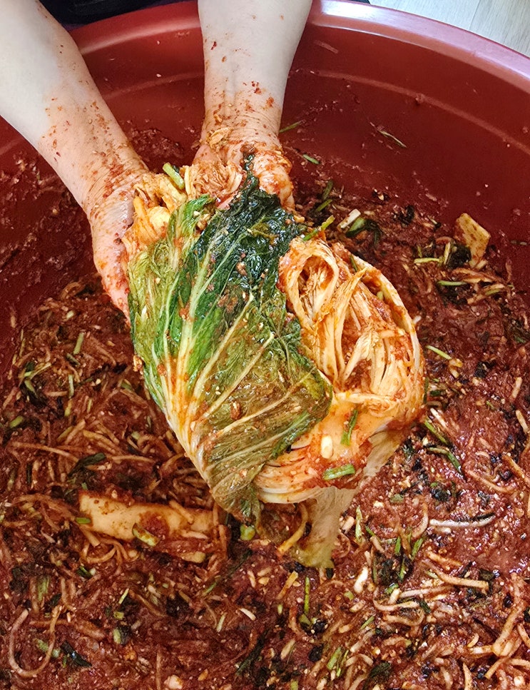  절임배추 파는곳 한옥마을절임배추20kg가격 알아보고 맛있는 김장김치 완성!