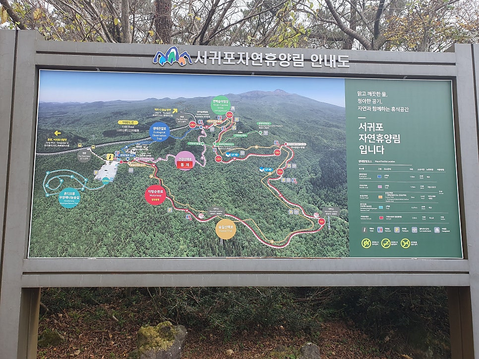 만추 사진 4