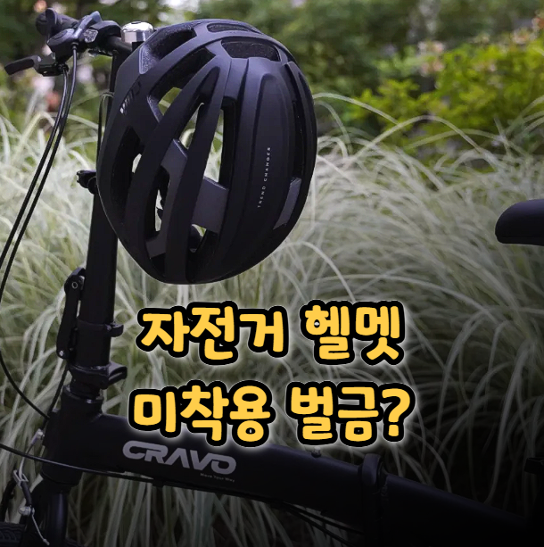  자전거 헬멧 미착용 벌금? 기준과 안전 이유