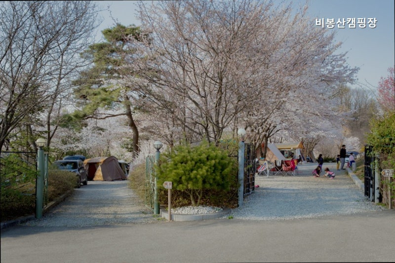 [안성 캠핑장] 비봉산캠핑장 조용한 힐링 캠핑
