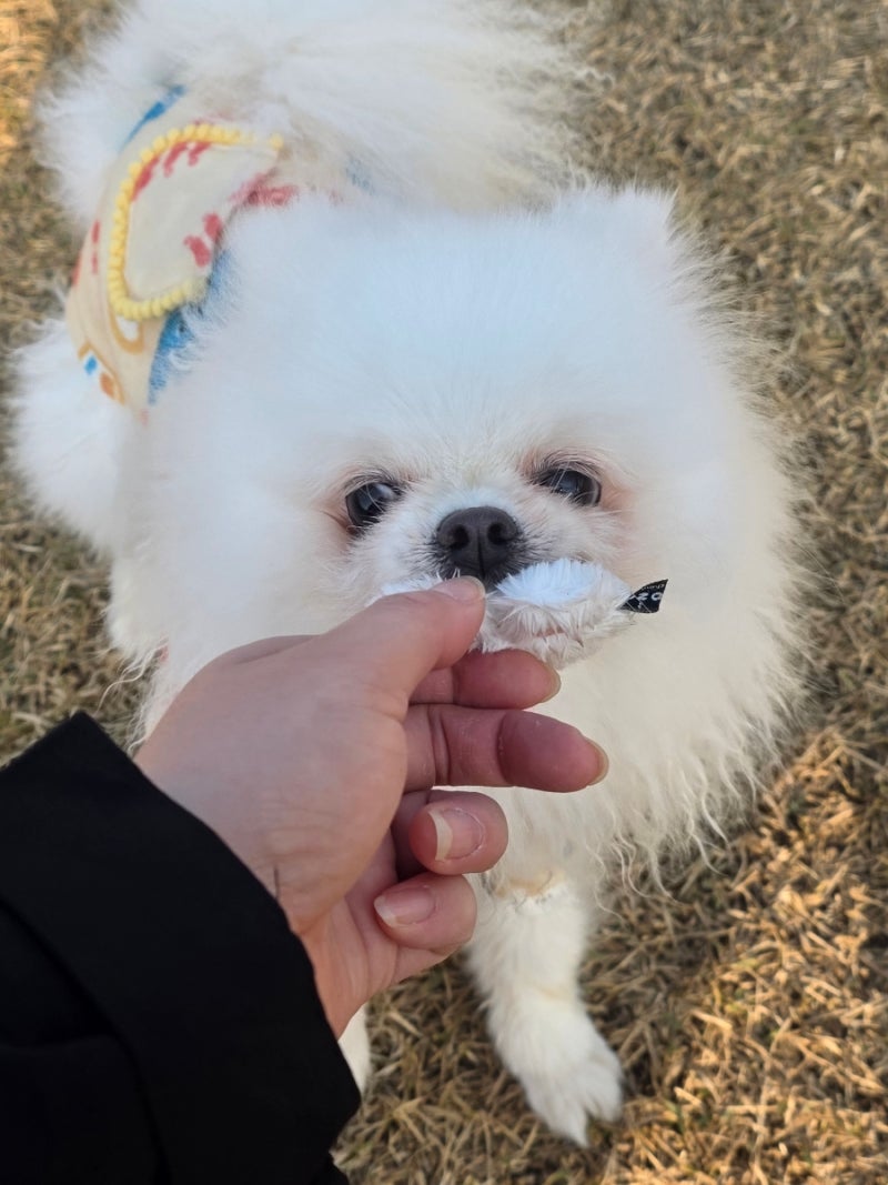 사진 3
