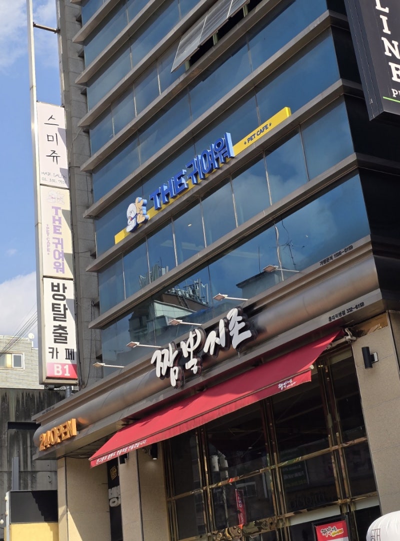 사진 6