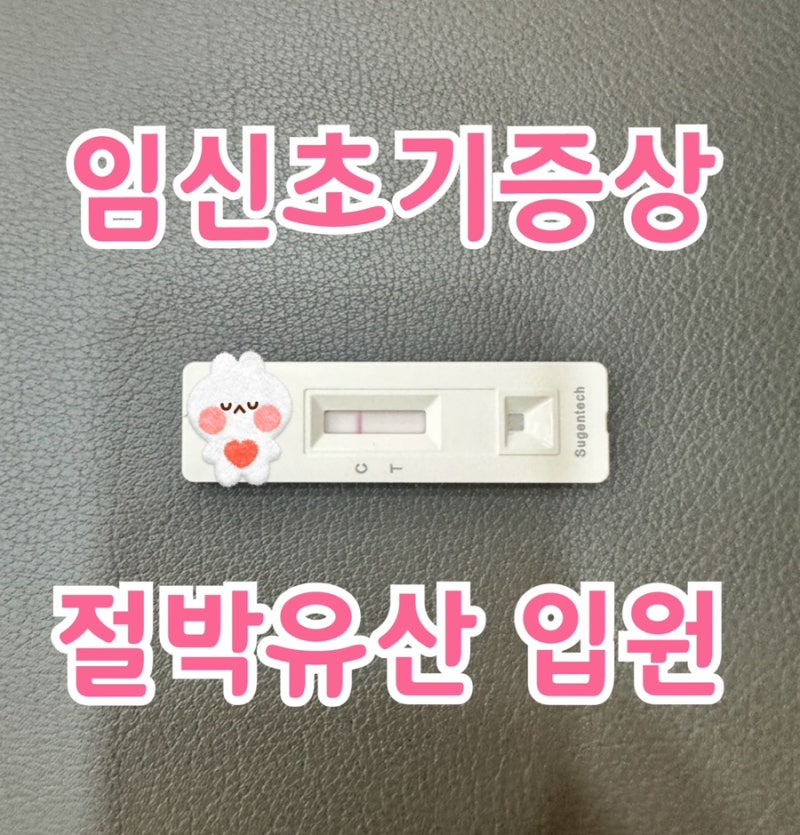임신10주차:두번째 입원/절박유산/병가신청