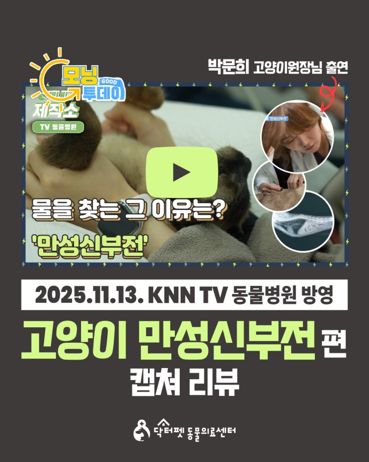  박문희 고양이 원장 KNN TV동물병원 출연 고양이가 물을 찾는 이유는? 만성신부전 캡쳐 리뷰 부산 노령묘 친화병원 닥터펫